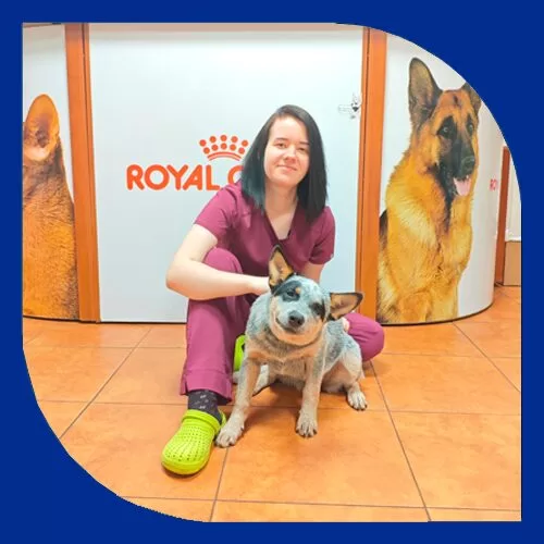 Izabella Timpa veterinārārsta asistents/palīgs